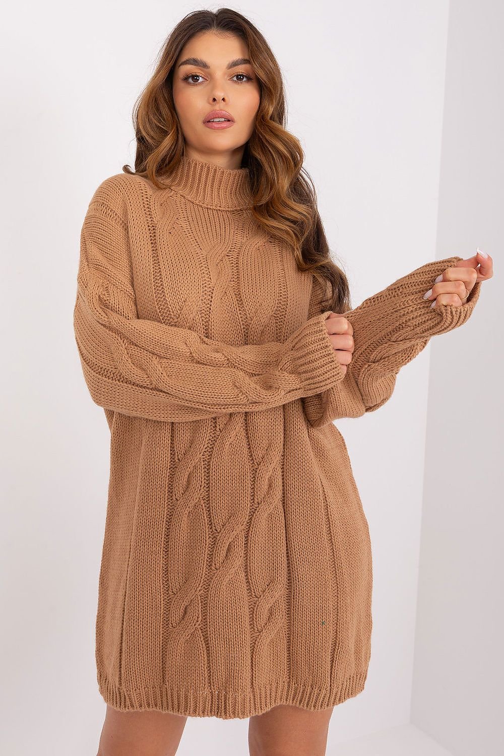 Chic Turtleneck Daydress