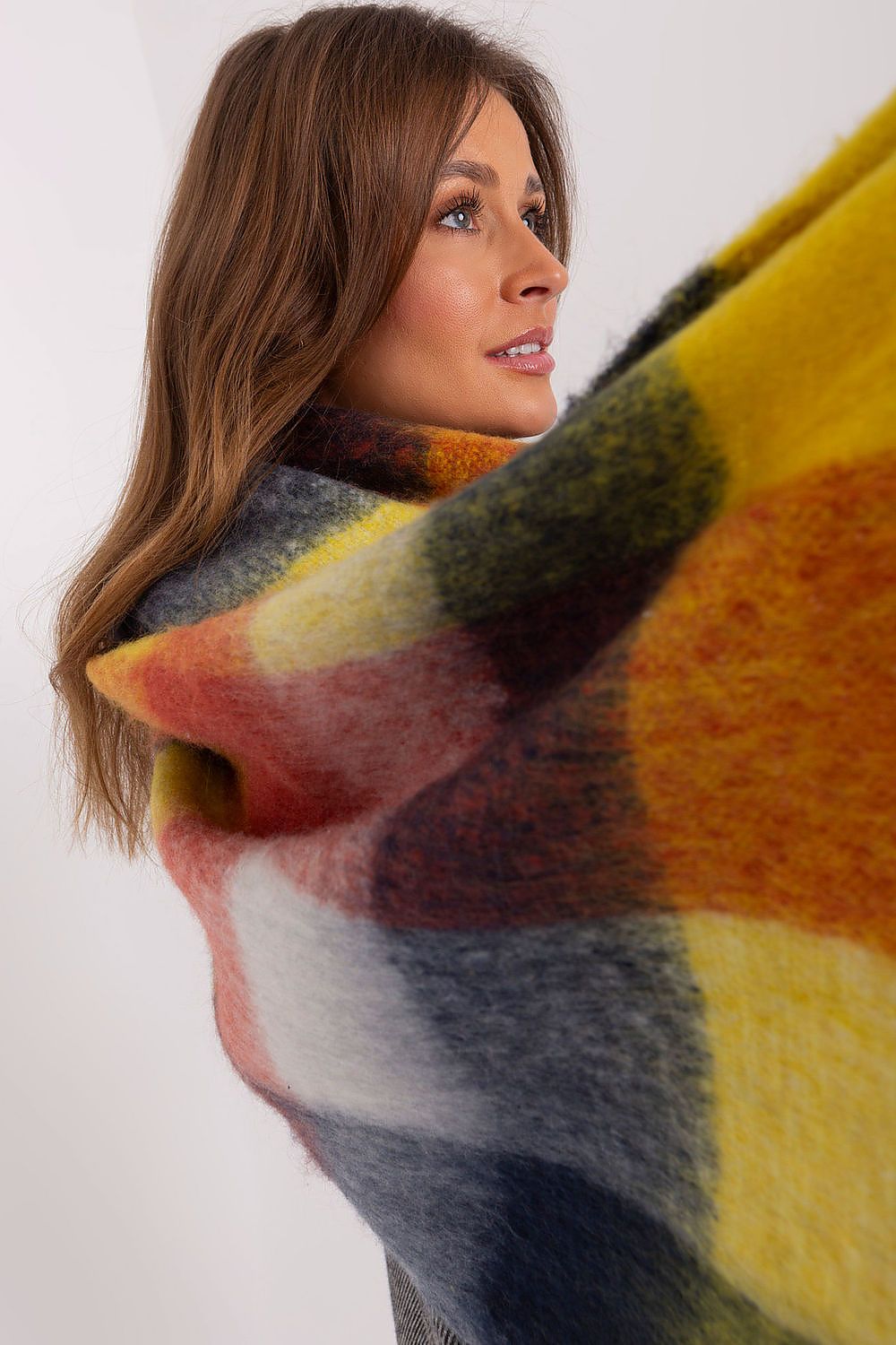 Chic Shawl - Colourful Plaid