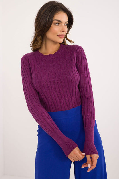 Textured Casual Women's Jumper