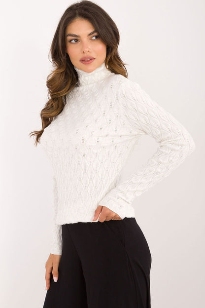 Chic Openwork Turtleneck