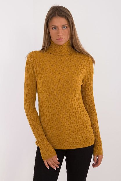 Chic Openwork Turtleneck