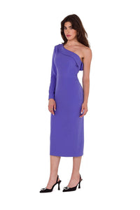 Elegant Plunging Neckline Dress